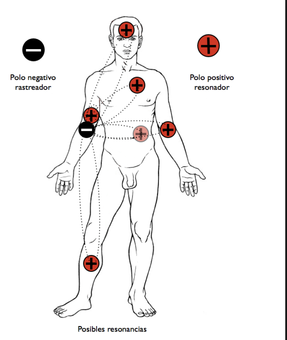 Pares Biomagn Ticos Consulta Medicina Hol Stica